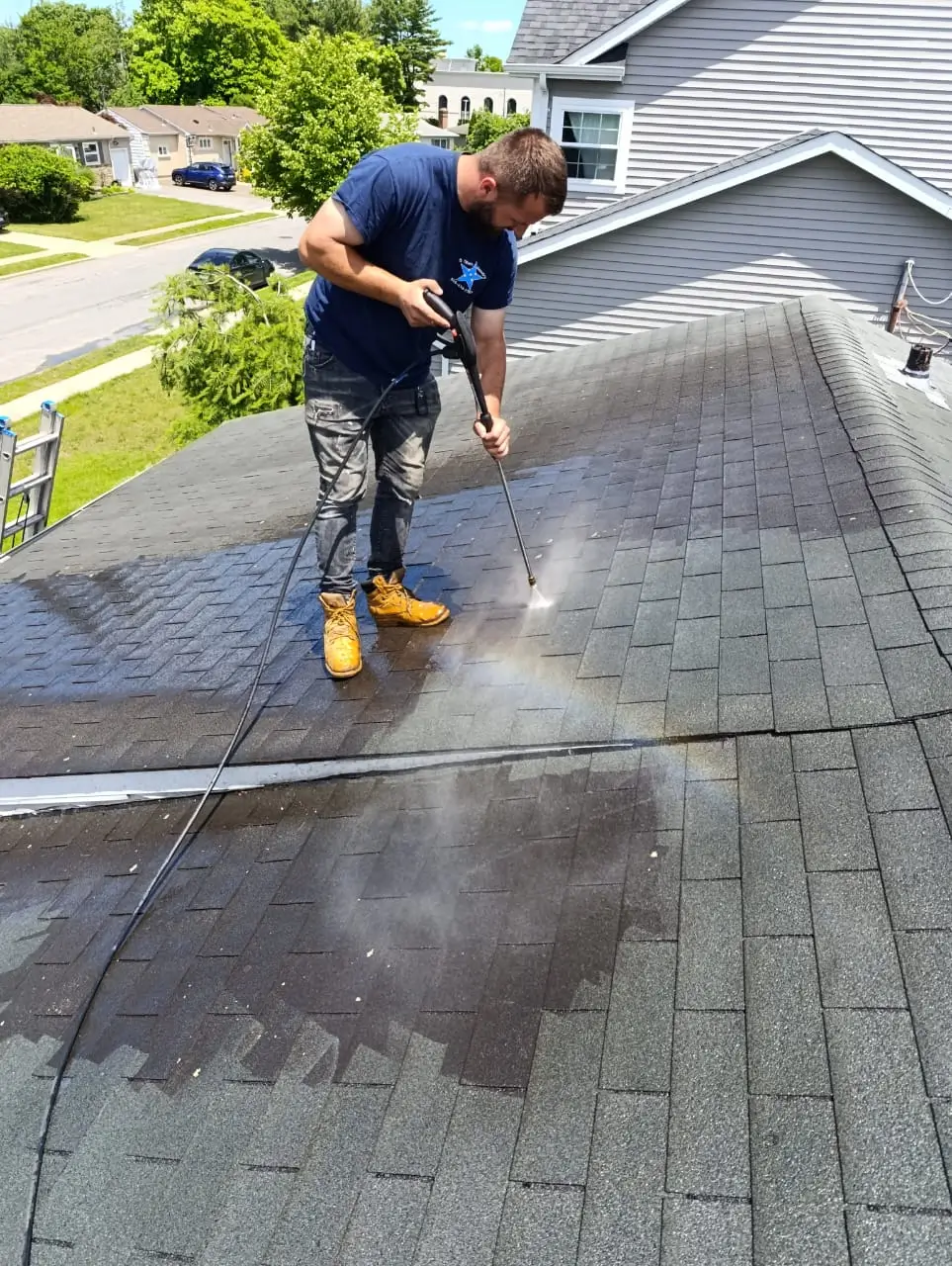 Cleaning Services1