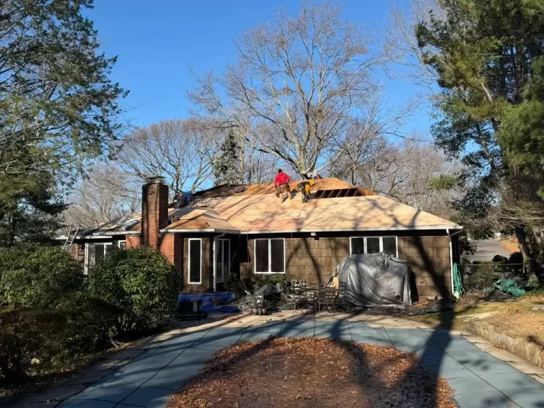 Professional Roofing Services