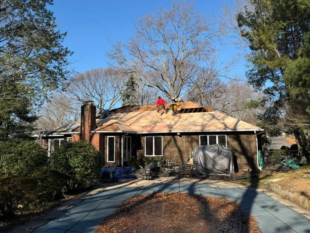 Professional Roofing Services